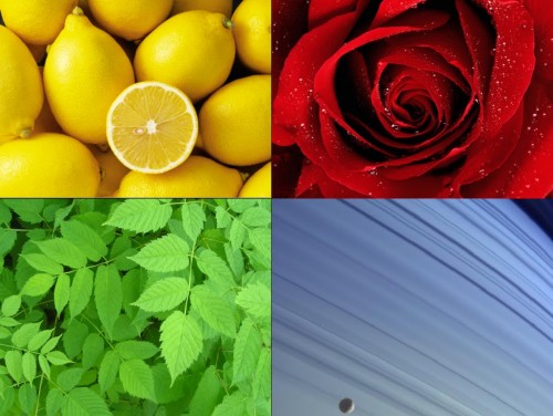 a1sx2_Thumbnail1_colori2.jpg a1sx2_Thumbnail1_colori2.jpg